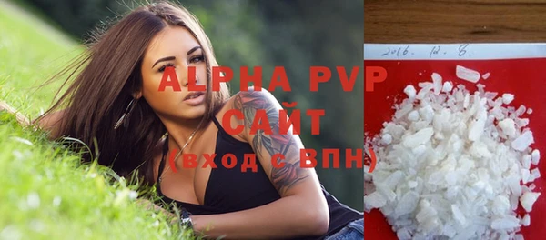 молекула духа Бородино